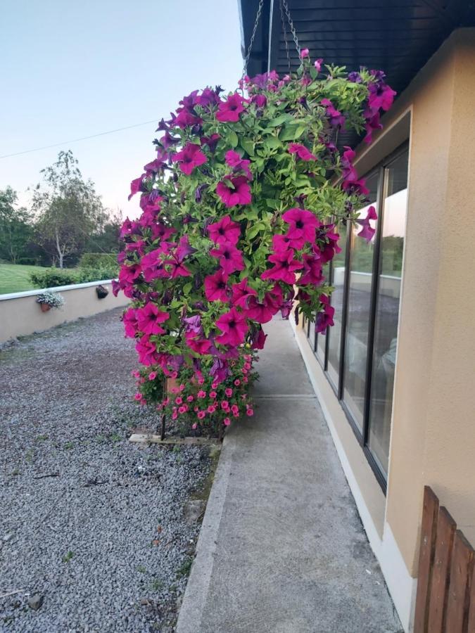 Ard Aoibhinn Roscommon Lecarrow Buitenkant foto
