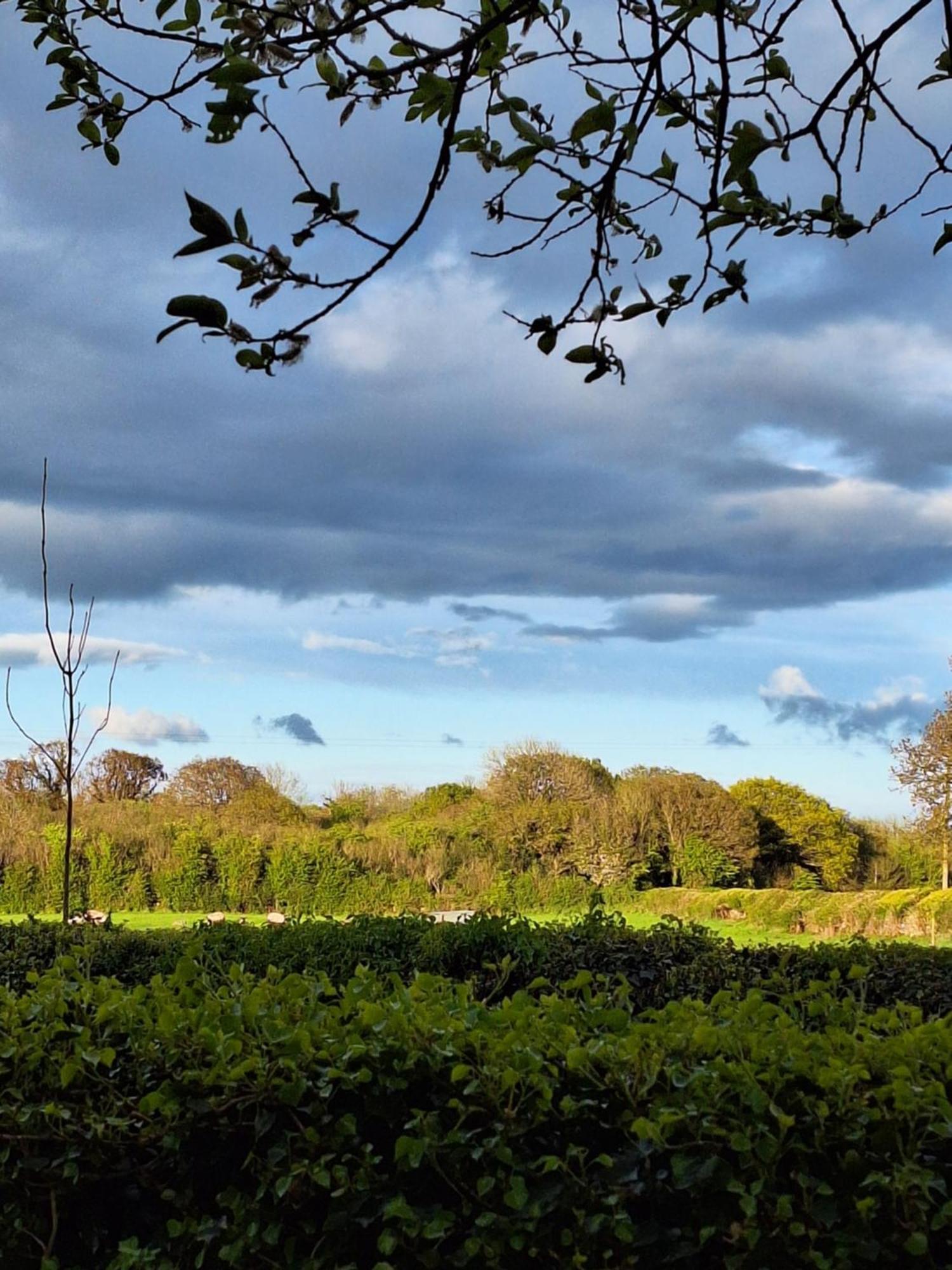 Ard Aoibhinn Roscommon Lecarrow Buitenkant foto