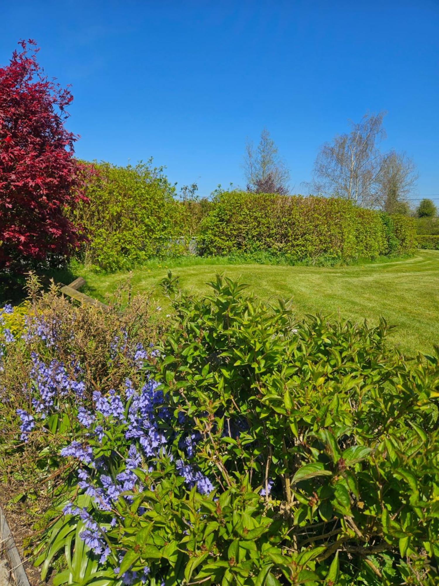 Ard Aoibhinn Roscommon Lecarrow Buitenkant foto